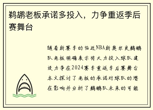 鹈鹕老板承诺多投入，力争重返季后赛舞台